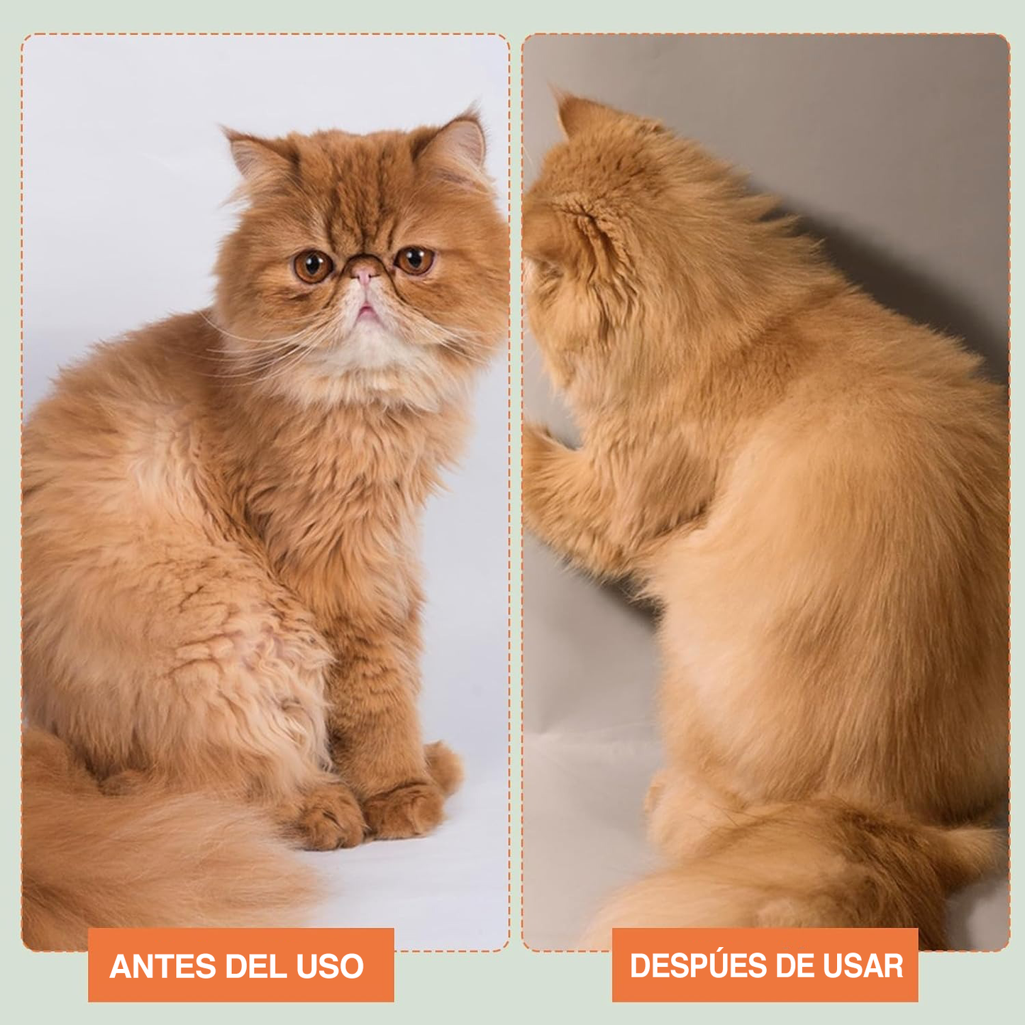 Cepillo a vapor para mascotas - Calidad Premium ®